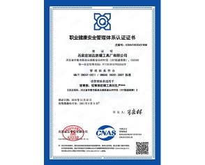 OHSAS 18001:2007